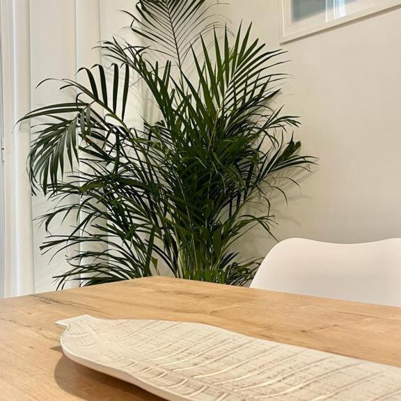 Apartamento Las Tres Lunas Sanlúcar de Barrameda Extérieur photo