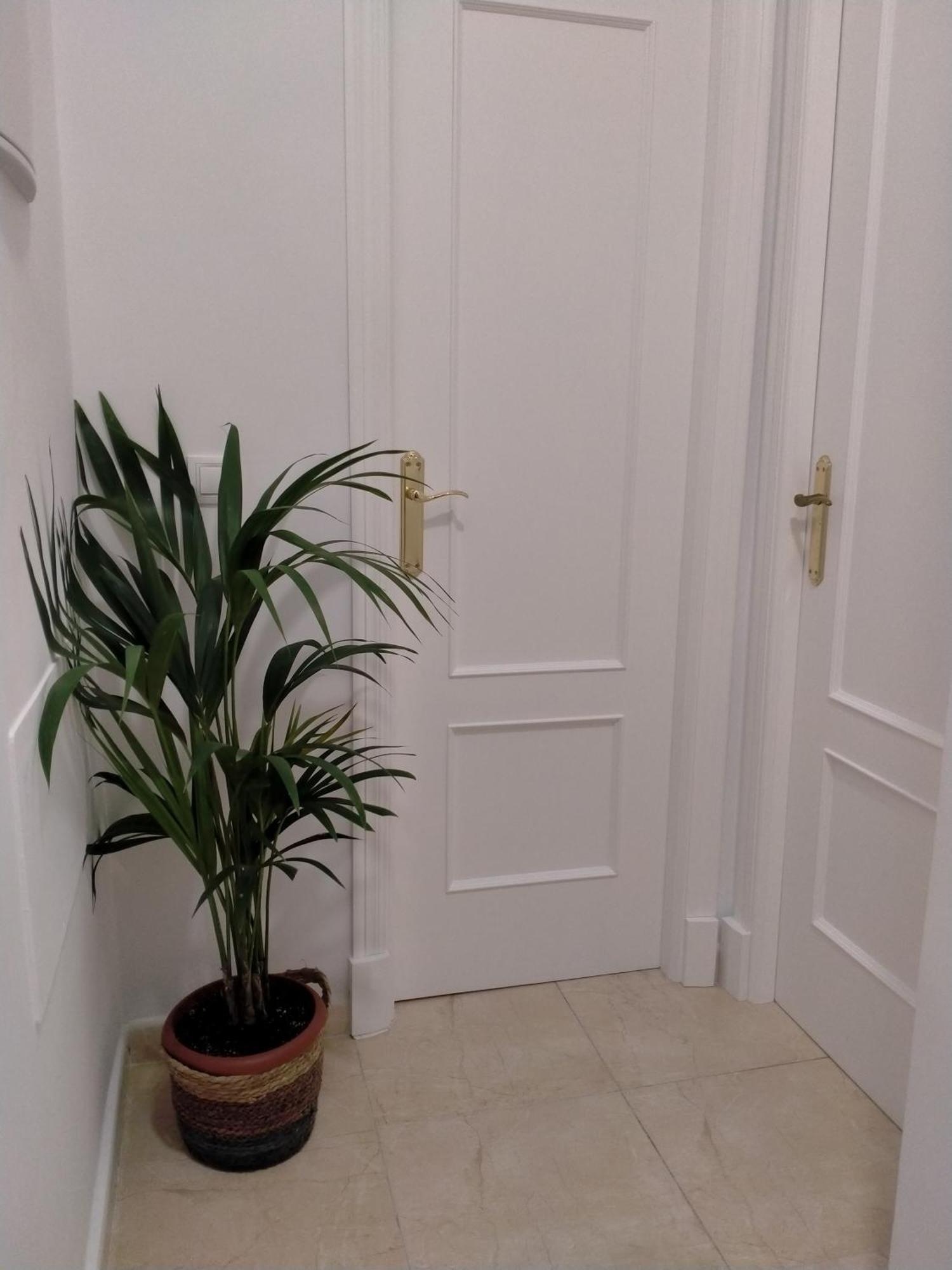 Apartamento Las Tres Lunas Sanlúcar de Barrameda Extérieur photo